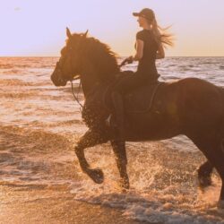 Riding a Horse in a Dream