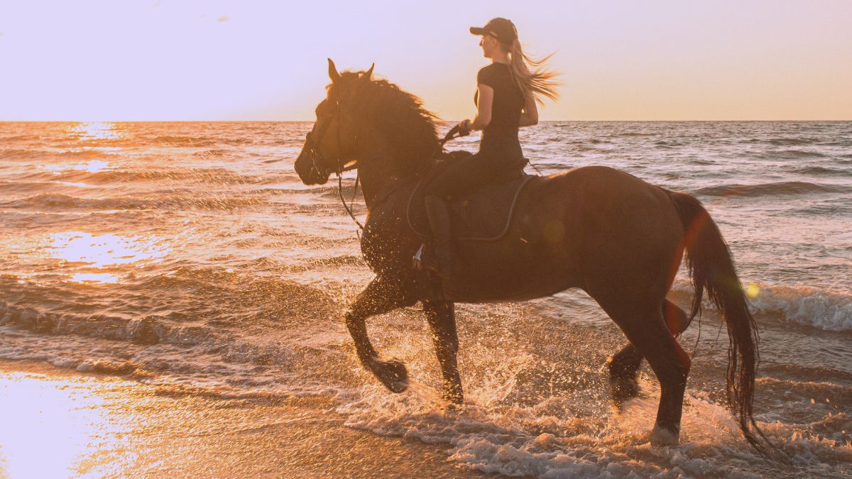 Riding a Horse in a Dream